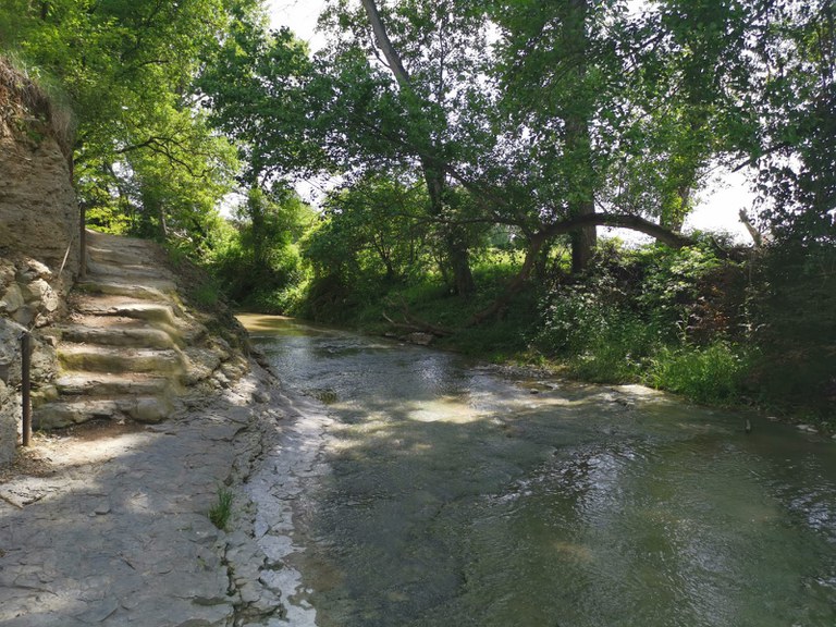 Itinerari Gurri a la font dels Frares i pont de Bruguer - Anella Verda de Vic (3).jpeg